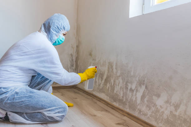 Crawl Space Mold Remediation treatment of floor joists in Spring Hill